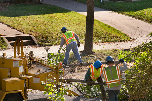 Best Tree and Shrub Care  in North Palm Beach, FL